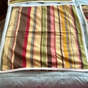 2 Pottery Barn Euro Shams